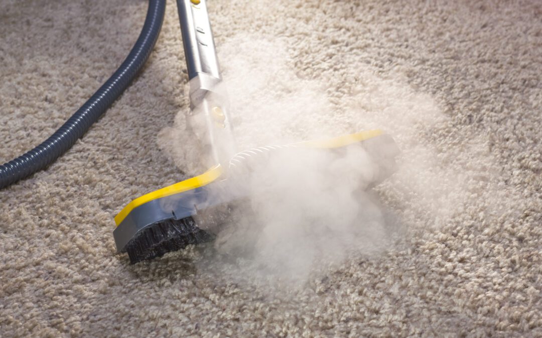 Steam Cleaning vs. Shampooing