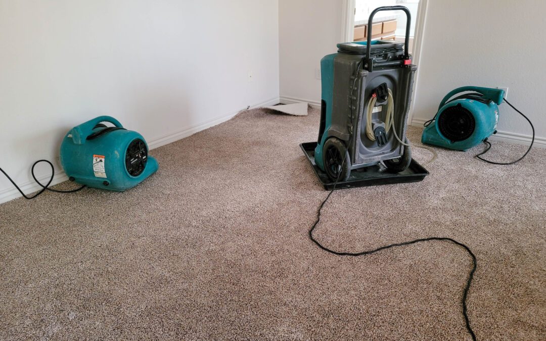 Should I Replace My Carpet After Water Damage?