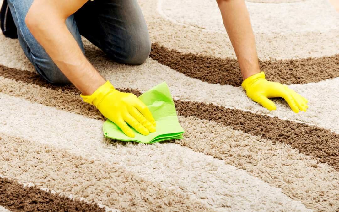 4 Ways Commercial Carpet Cleaners Are Better Than DIY