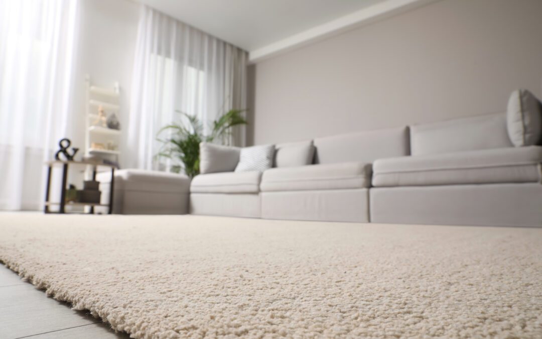 Cleaning vs. Replacing Carpet: What to Know