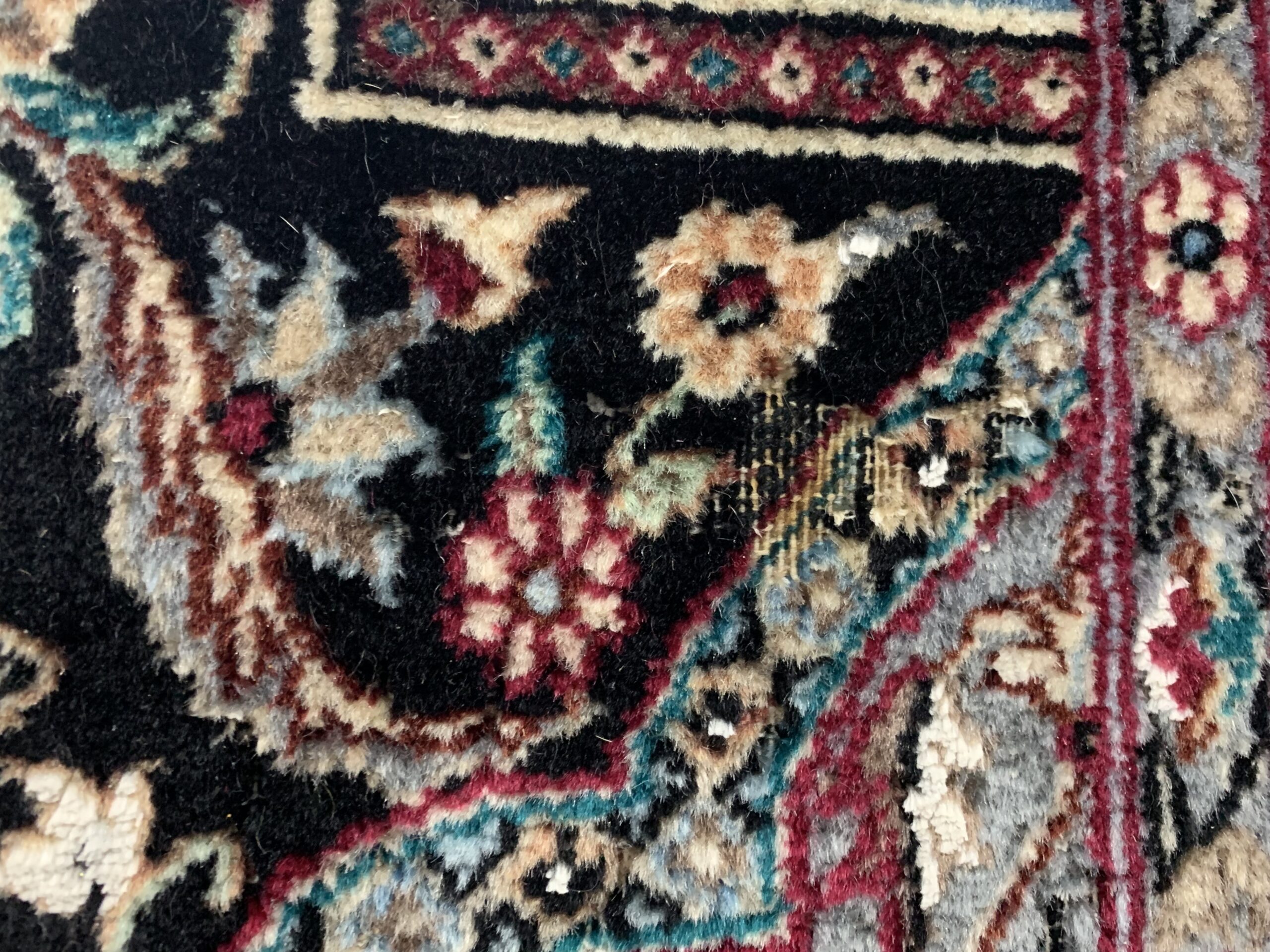 Examples of Moth damage to area rugs-Green-Gen carpet and fine Rug Cleaning