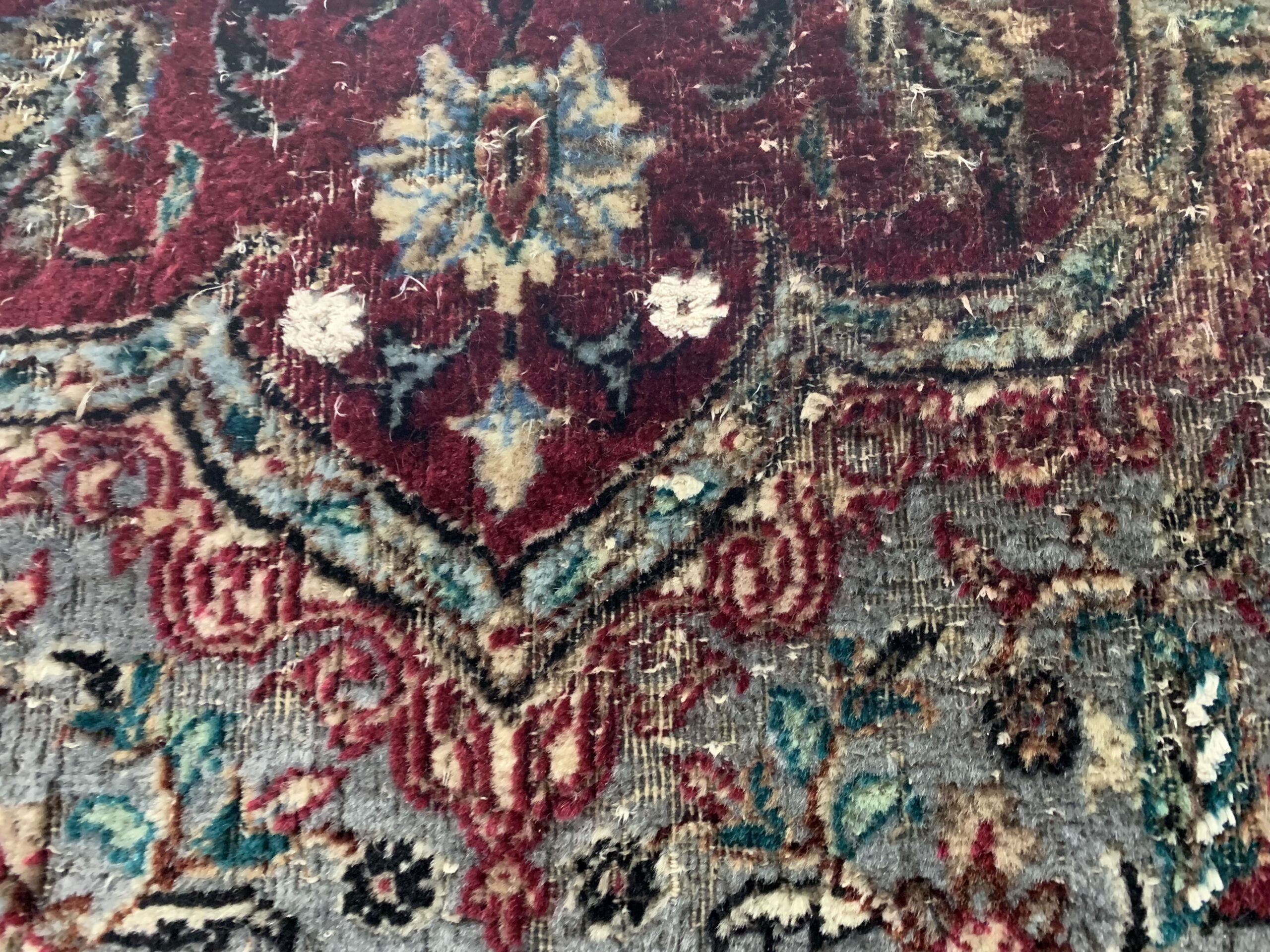Examples of Moth damage to area rugs-Green-Gen carpet and fine Rug Cleaning