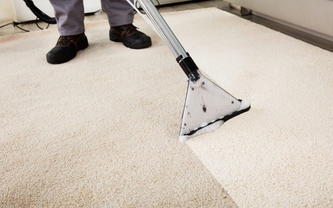 Reasons to Hire a Rug Specialist Over a Carpet Cleaner for Fine Fabrics and Rugs