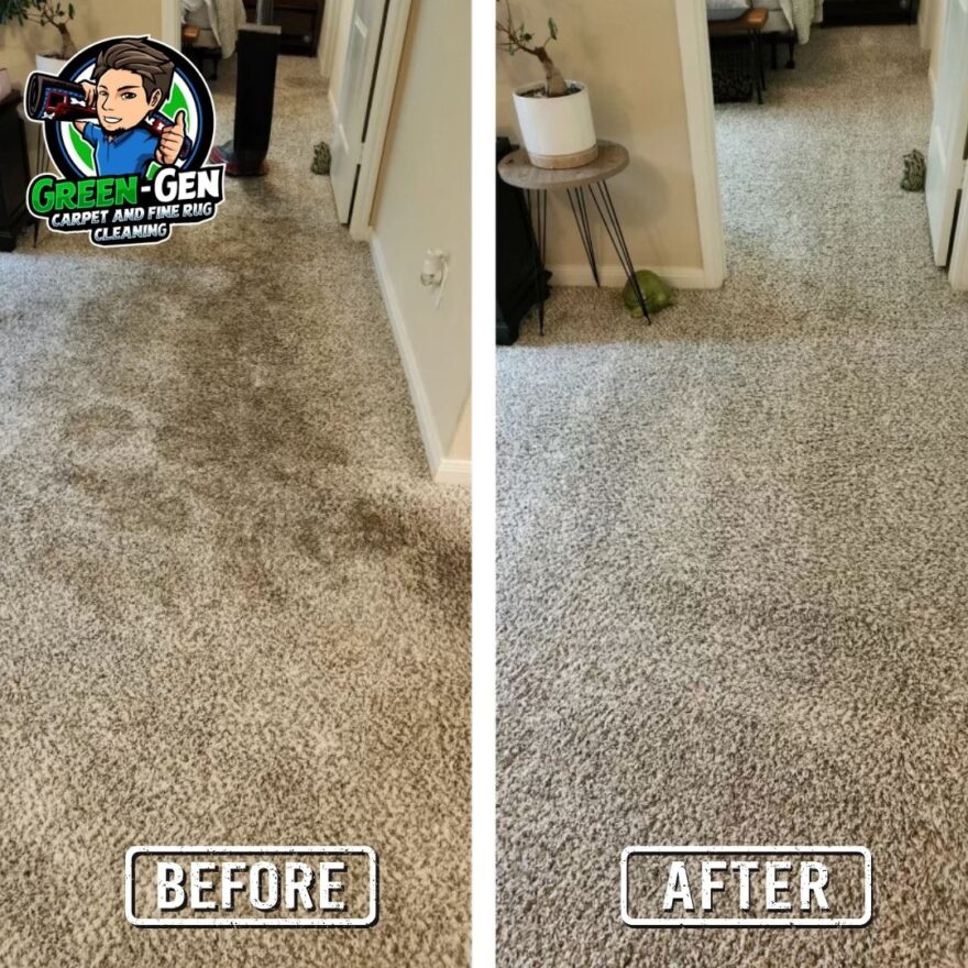 before and after carpet cleaning in Naperville, Illinois