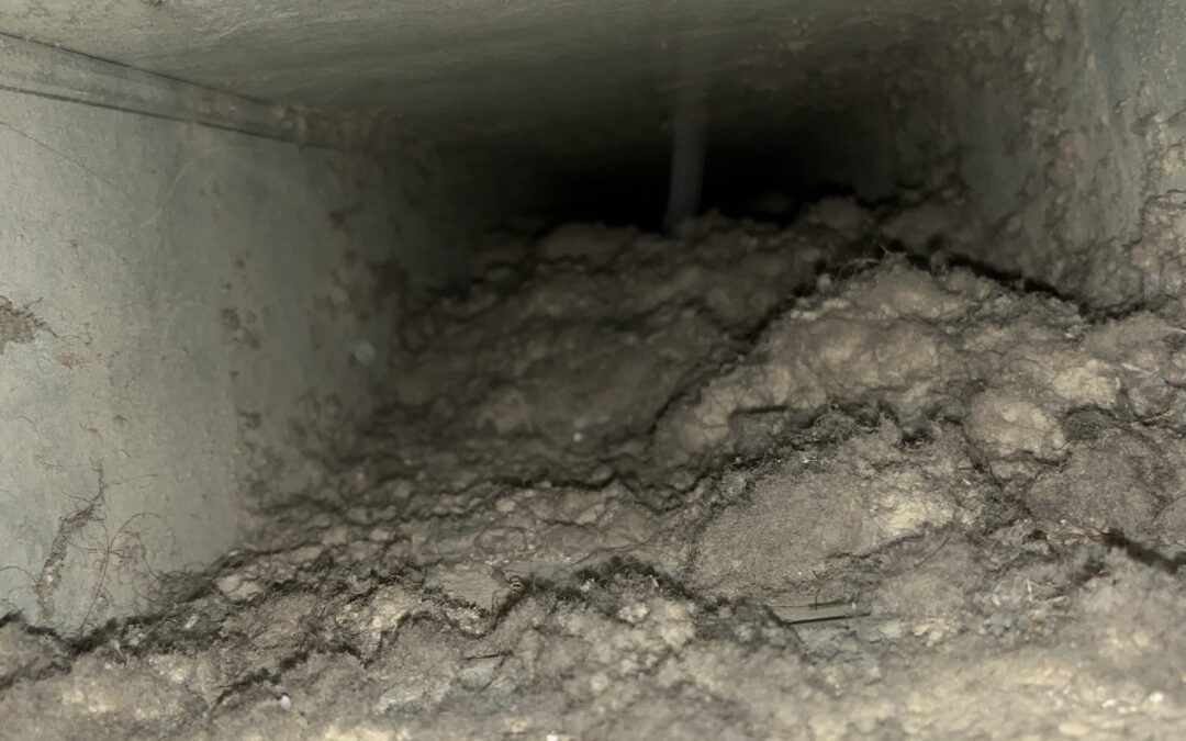 dust and debris in an HVAC vent
