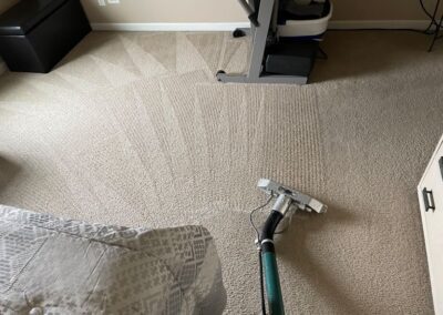 home office Carpet Cleaning in Elgin