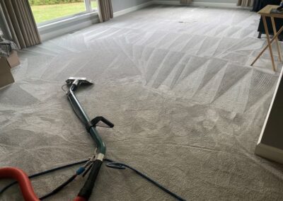 Carpet Cleaning in Oakbrook, Illinois