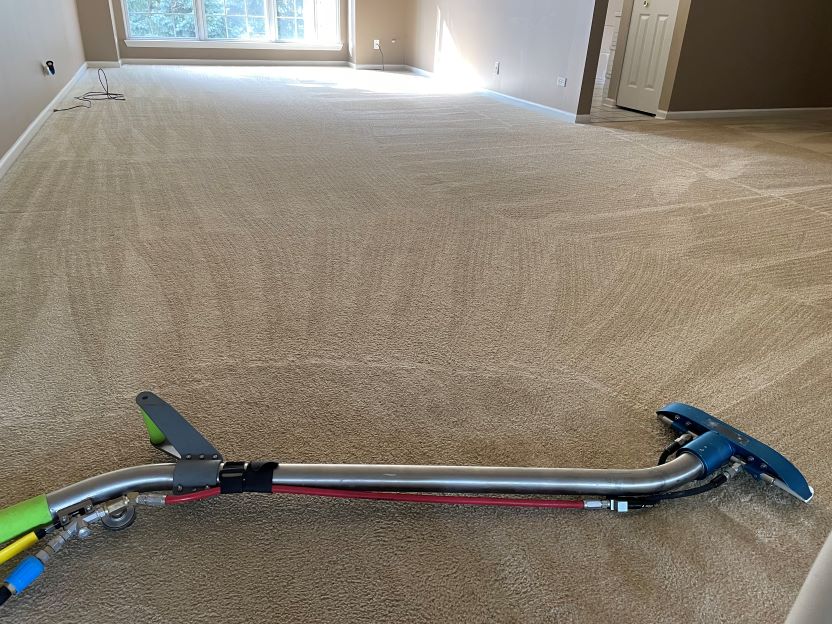 move out carpet cleaning