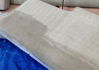 Upholstery Cleaning in St. Charles